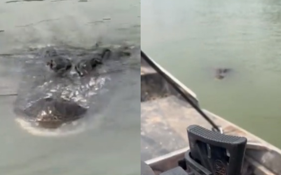 Piedras Negras: Policías de Texas graban a gran cocodrilo en el río Bravo  cerca - El Sol de la Laguna | Noticias Locales, Policiacas, sobre México,  Coahuila y el Mundo