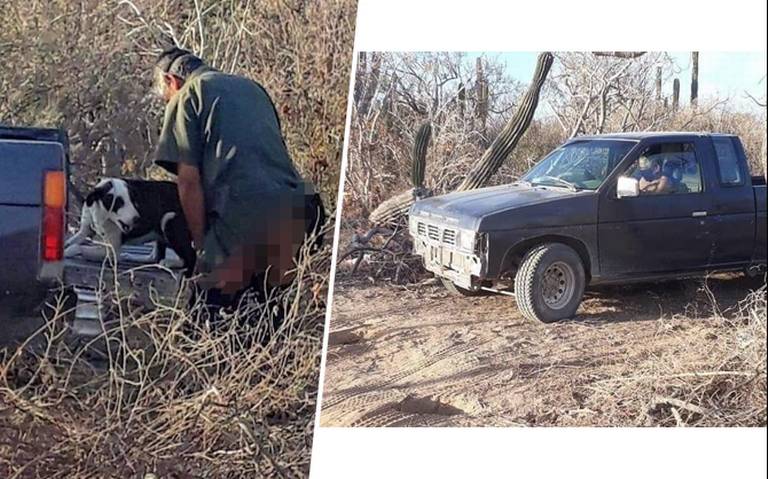 Cámara de videovigilancia capta a un hombre maltratando a su perro por la  Casa Wilcox