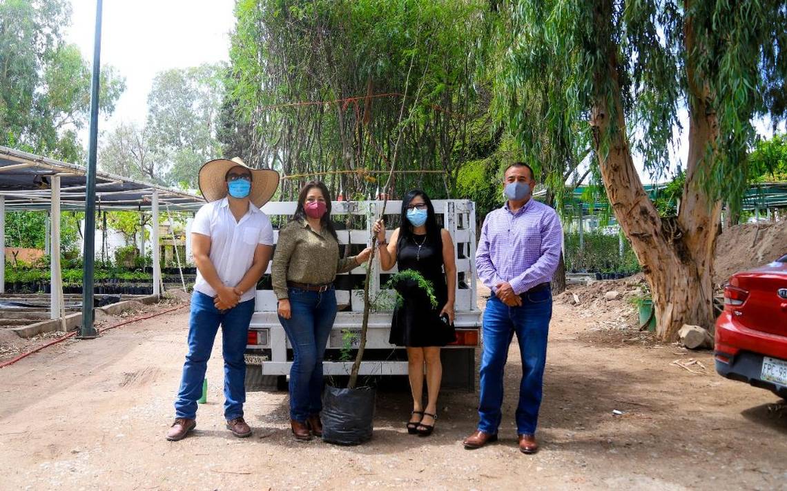 Torreón dona más árboles a Monclova - El Sol de la Laguna | Noticias  Locales, Policiacas, sobre México, Coahuila y el Mundo