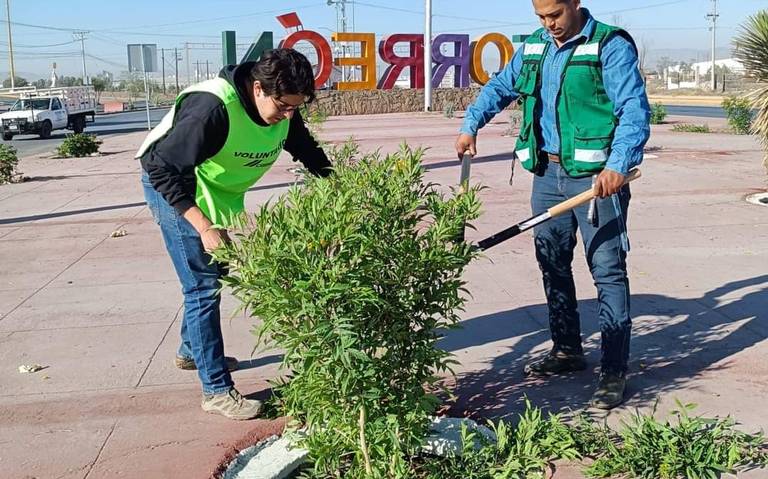 Promueven en Torreón la poda responsable de árboles - El Sol de la Laguna |  Noticias Locales, Policiacas, sobre México, Coahuila y el Mundo