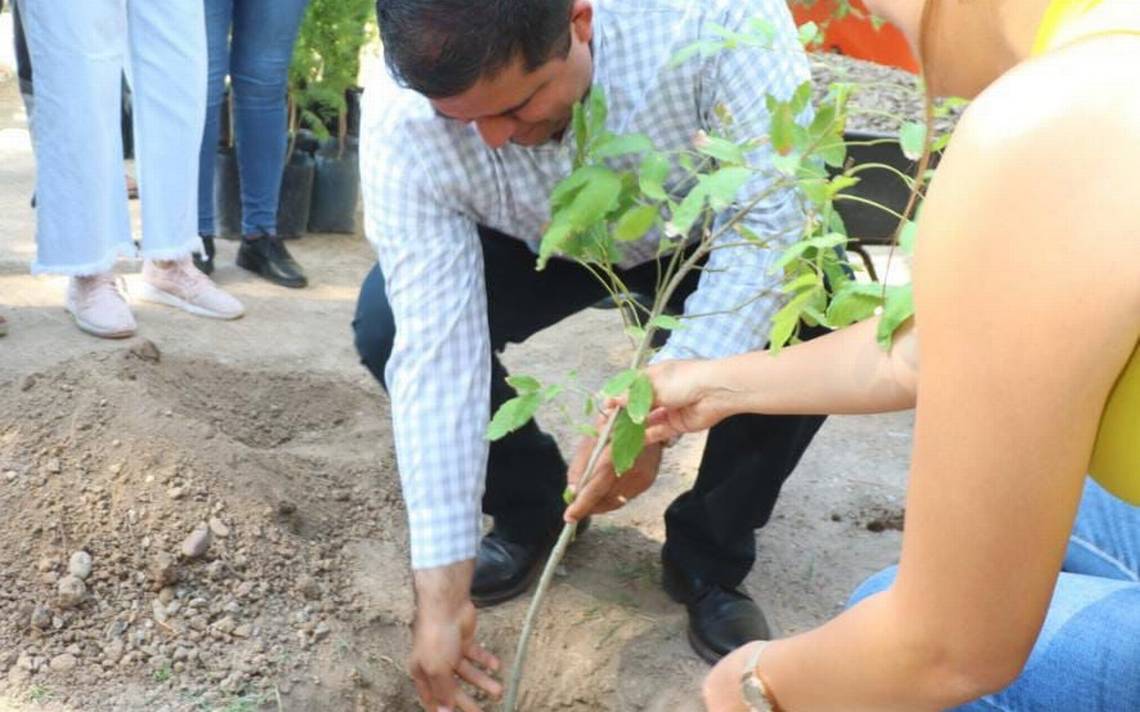 Avanza programa de reforestación en Lerdo: regalan los árboles - El Sol de  la Laguna | Noticias Locales, Policiacas, sobre México, Coahuila y el Mundo