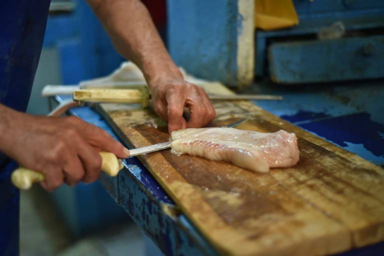 Intensifican la vigilancia sanitaria en la venta de pescados y mariscos -  El Sol de la Laguna | Noticias Locales, Policiacas, sobre México, Coahuila  y el Mundo