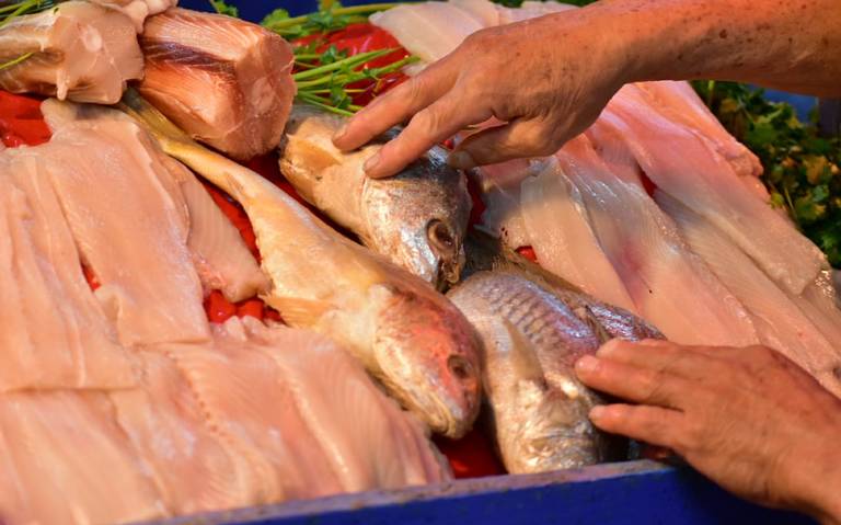 Detectan irregularidades en negocios de pescados y mariscos - El Sol de la  Laguna | Noticias Locales, Policiacas, sobre México, Coahuila y el Mundo