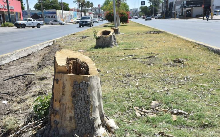 Niegan impacto ambiental por obras complementarias del SV4C - El Sol de la  Laguna | Noticias Locales, Policiacas, sobre México, Coahuila y el Mundo