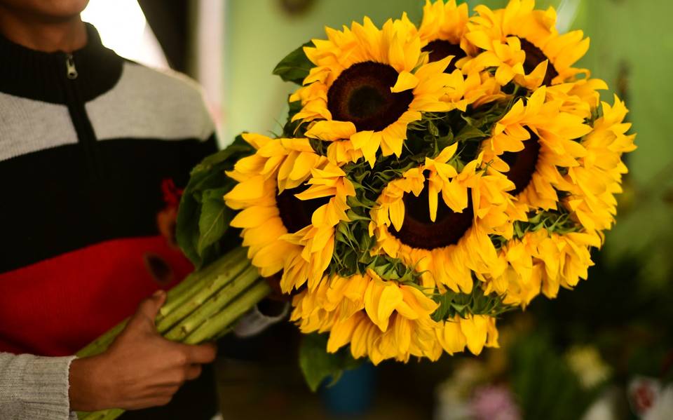 Rosas, girasoles y gerbera; las más vendidas en San Valentín - El Sol de la  Laguna | Noticias Locales, Policiacas, sobre México, Coahuila y el Mundo