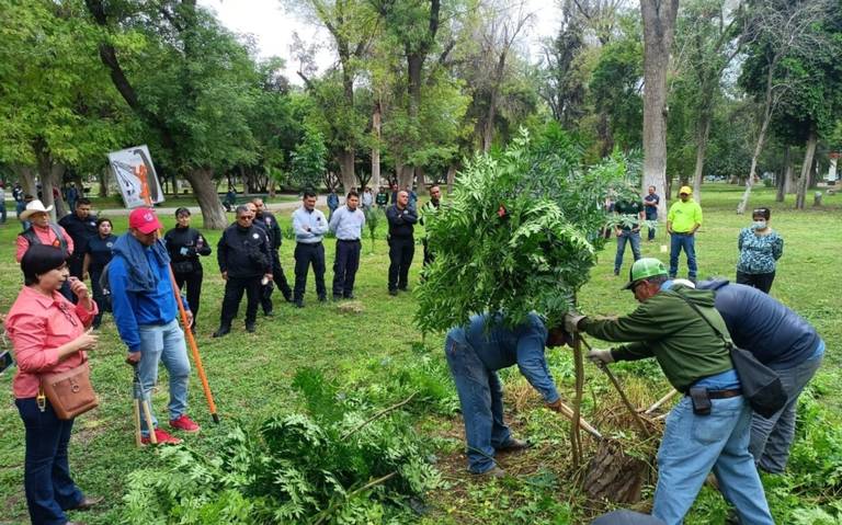 Especialistas capacitan a empleados municipales en materia de poda y tala -  El Sol de la Laguna | Noticias Locales, Policiacas, sobre México, Coahuila  y el Mundo